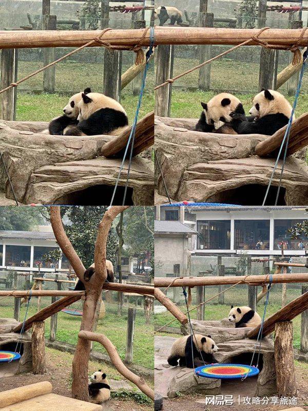 最好 如何去重庆超详细实用攻略ky开元棋牌什么时候去重庆旅游(图6)